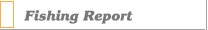 Fishing Report 