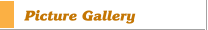 Picture Gallery