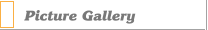 Picture Gallery